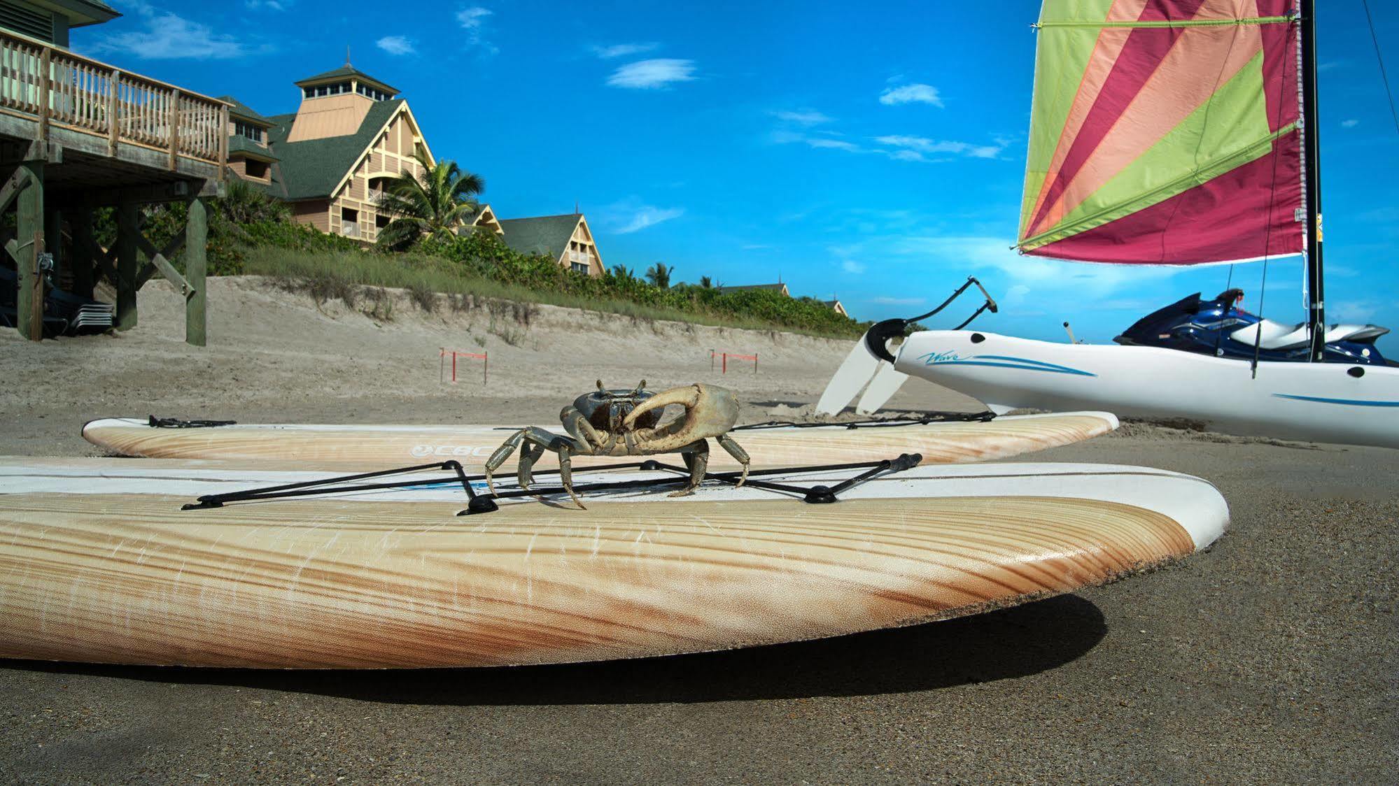 Disney'S Vero Beach Resort Wabasso Beach Eksteriør bilde